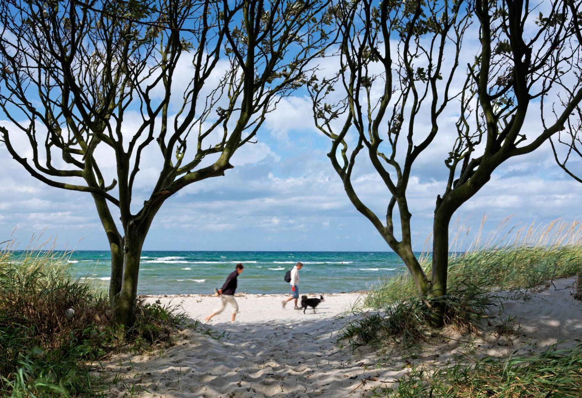 Appartement Am Yachthafen Insel Poel Kültér fotó